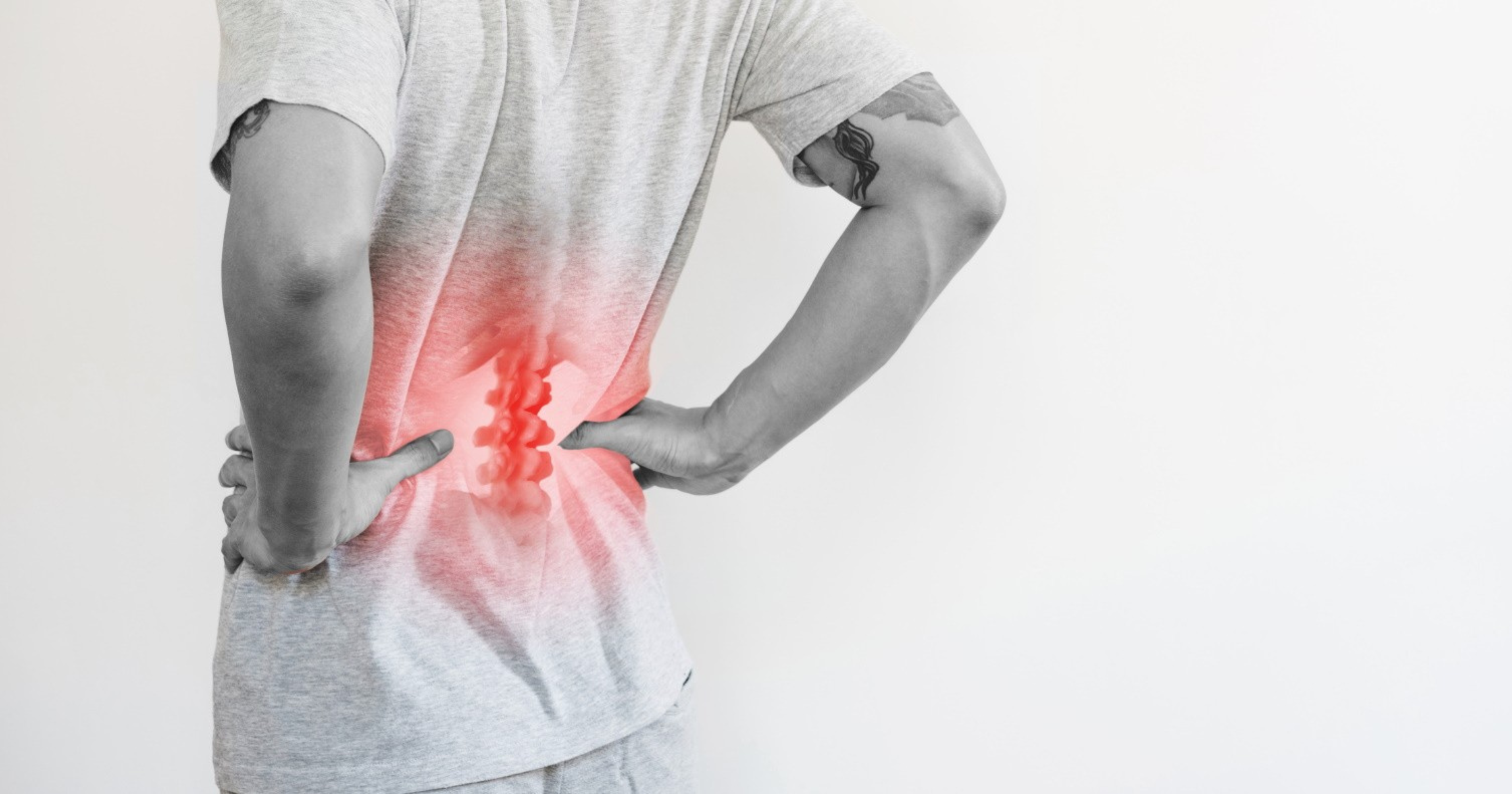 Anatomy and Function of the Spine - Dr. Darshan Bafna